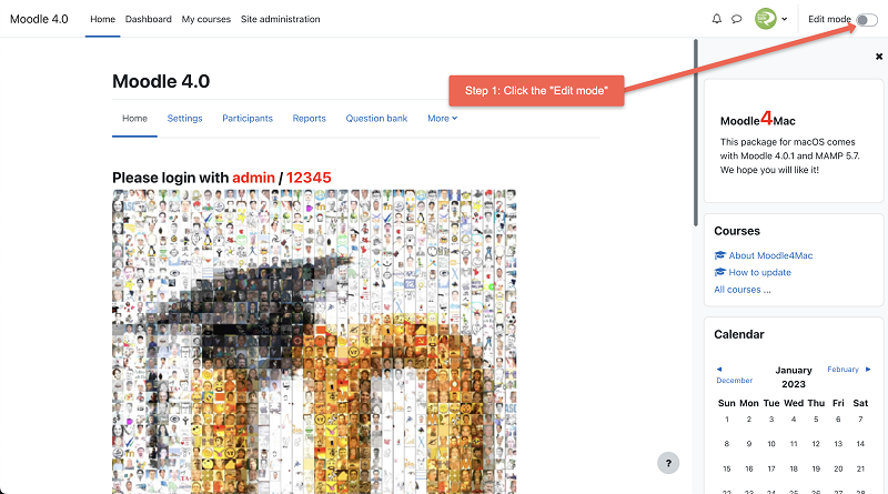 embed chat in Moodle